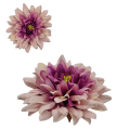 DALIA-1280.png