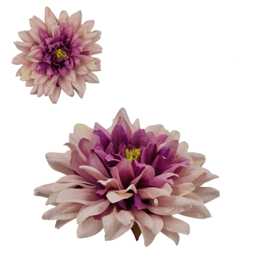 DALIA-1280.png