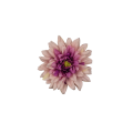 20231003_160858.png