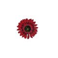 20231005_173352.png
