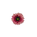 20231005_173428.png