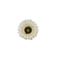 20231005_173439.png