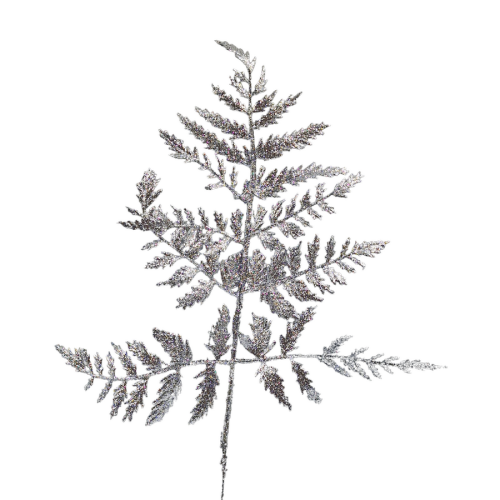 20231111_161605.png