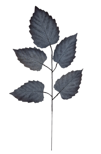 20231118_095337.png
