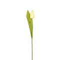 20240122_170519.png