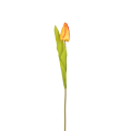 20240122_171919.png