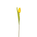 20240122_171832.png