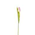 20240122_171937.png