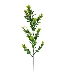 Gałązka BUKSZPAN 53cm - dodatek florystyczny A06 /50155