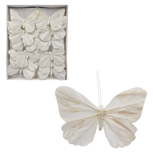 motyl biały.png