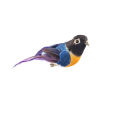 20240201_151027.png