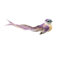 20240201_150749.png