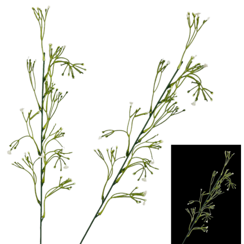 50651-BIAŁA.png