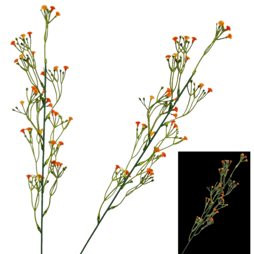 50651-POMARAŃCZOWA.png