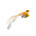 20240206_165530.png