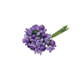 20240208_103135.png