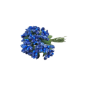 20240208_102518.png