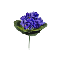 20240221_153844.png