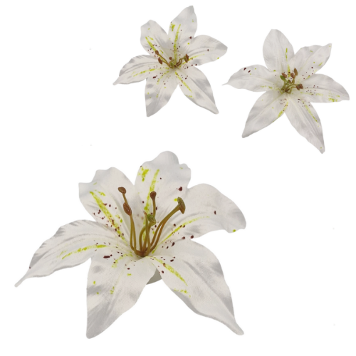 lilia-glowka-15-cm.png