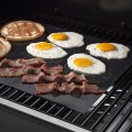2-x-MATA-TEFLONOWA-DO-PIEKARNIKA-NA-GRILL-DO-PIECZENIA-40-CM.jpg