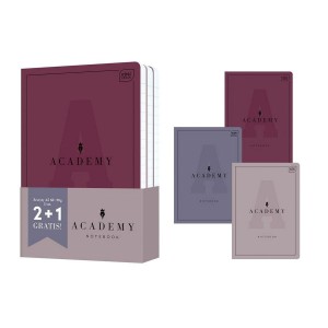 Zestaw 3 zeszytów ACADEMY A5/60k. 90g linia 2+1 /48203