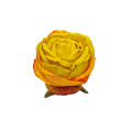 20240808_150044.png