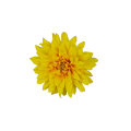 90944-8 (3).png