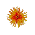 20240910_110216.png