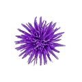 20240910_110245.png