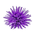 20240910_110259.png