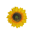 20240910_160251.png