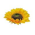 20240910_160328.png