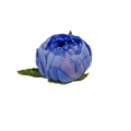 20240911_130442.png