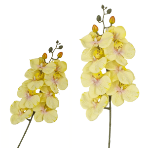 Storczyk ŻÓŁTY - gałązka 78cm 8 kwiatów + pąki na łodydze /83362-5