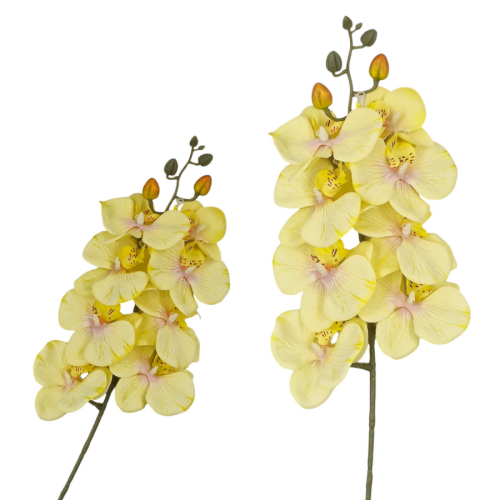 żółty cytrynowy-5.png