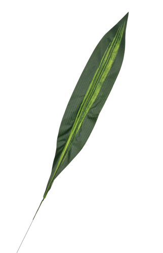 20240912_135604.png