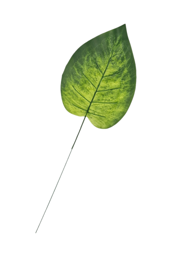 20240912_135628.png