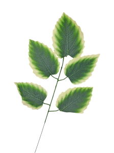 Gałązka - Liście 5 - dodatek florystyczny 56 cm /83058