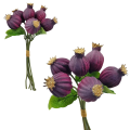 bordowe.png