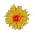 72800-.png