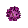 20241012_094130.png