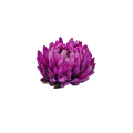 20241012_094418.png