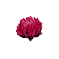 20241012_094406.png
