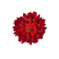 20241012_094159.png