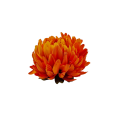 20241012_094340.png