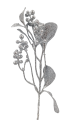 20241109_085925.png