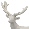 20241109_090548-.png
