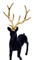 20241109_091737.png
