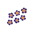 20250109_125949.png