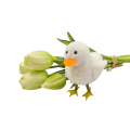 20250115_115854.png